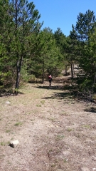 ALTERNATIVE MONT D AUVARE -alpes-maritimes