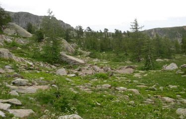 Traversee de la tete Merciere-alpes-maritimes