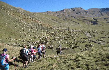 COL DE POURIAC-alpes-maritimes