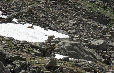 Pas des Ladres par le lac et le col de Fenestre-alpes-maritimes