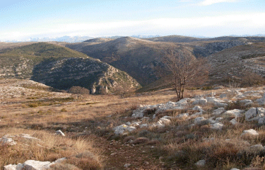 Le Baou des blancs-alpes-maritimes