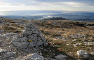 Le Baou des blancs-alpes-maritimes