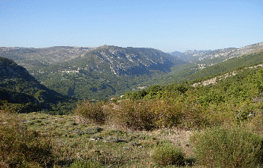 Circuit du Collet de Gilibert-alpes-maritimes