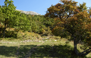 Circuit du Collet de Gilibert-alpes-maritimes