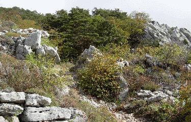 Circuit du Razet-alpes-maritimes