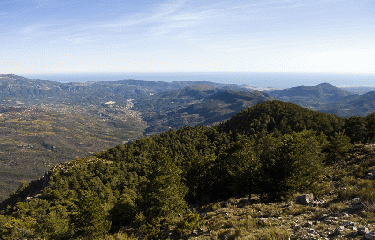 CIRCUIT DU MONT FERION-alpes-maritimes