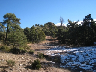 MONT FALOURDE ET POINTE DE L ADRET DEPUIS BAIROLS-alpes-maritimes