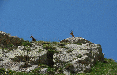 CIRCUIT DES LACS-alpes-maritimes