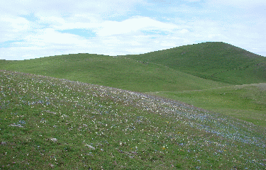 TETE DE GIARONS-alpes-maritimes