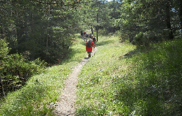 BAISSE DE CANGELARD -alpes-maritimes