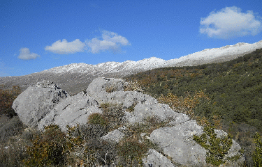 CIRCUIT DE L AUTREVILLE