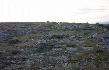Circuit du Puy de Tourrettes-alpes-maritimes