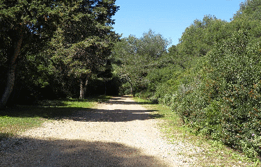 RANDO ILE STE MARGUERITE 7.7 KM-alpes-maritimes