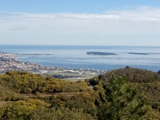 MANDELIEU - LE GRAND DUC - MASSIF DU TANNERON-alpes-maritimes