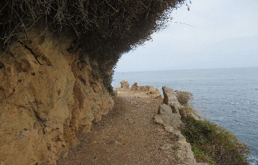 RANDO ST-JEAN-CAP-FERRAT 12 KM-alpes-maritimes