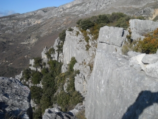 BOIS DE GARAVAGNE-alpes-maritimes