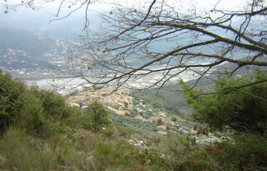 LE BROC - MOUTON D ANOU-alpes-maritimes