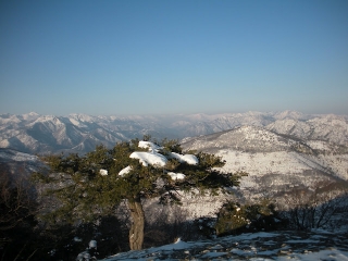 CIME DE BAUDON-alpes-maritimes