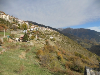 VENANSON - FORET DE MALUNA-alpes-maritimes