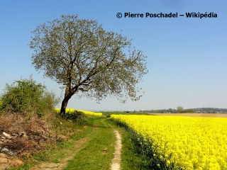 FRESNOY-LE-LUAT - TROIS HAMEAUX ET UNE MONTAGNE-oise