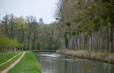 GR11(1) - SENSIS - FONTAINEBLEAU -oise