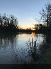 ETANGS DE LA FORET DE COMPIEGNE ET CLAIRIERE DE L ARMISTICE-oise