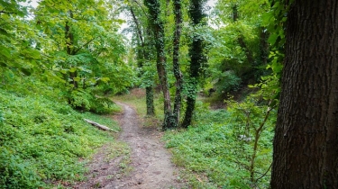 VILLERS SAINT PAUL - LA CROIX DE MEFROID-oise