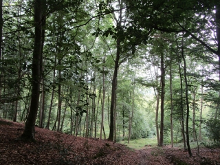 PIERREFONDS - LE VOILARD-oise