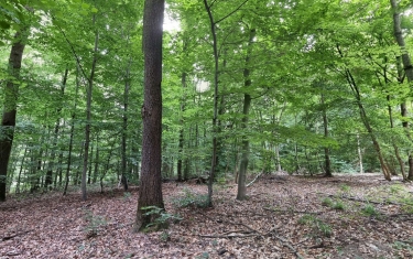 AUMONT EN HALATTE - SUR LE MONT-ALTA-oise