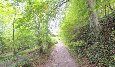CREPY-EN-VALOIS - DE L AUTOMNE A LA SAINTE-MARIE-oise