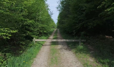 LALANDELLE - LA BOUTONNIERE DU PAYS DE BRAY-oise