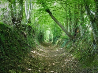 AVRILLY - LE TOUR DU MARGANTIN-orne