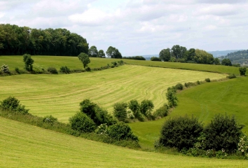 LES CHAMPEAUX - CROUTTES-orne
