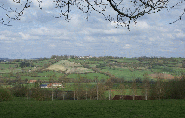 LE PIN DU HARAS-orne