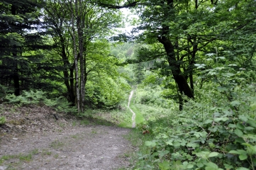 DE ST NICOLAS DES BOIS A LIVAIE EN PASSANT PAR LA ROCHE MABILE-orne