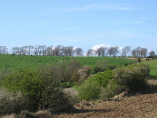 HARDINGHEN - LE COLOMBIER-pas-de-calais