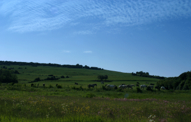 Sentier des Voyettes-pas-de-calais