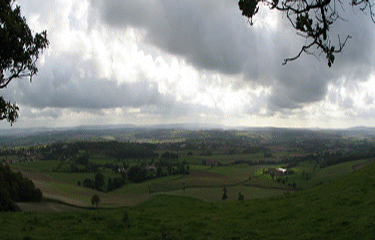 Colembert - Bois de Haut-pas-de-calais