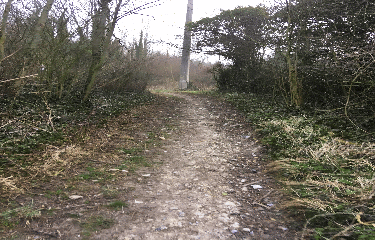 LES MOULINS D ACQUIN-pas-de-calais