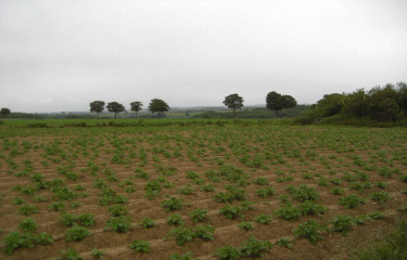 Autour de Auchy-au-Bois-pas-de-calais