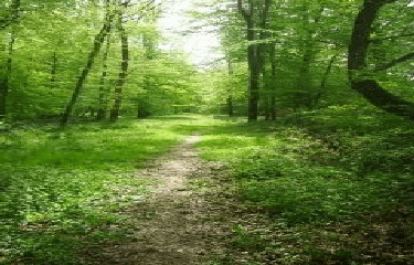 LA PLANQUETTE-pas-de-calais