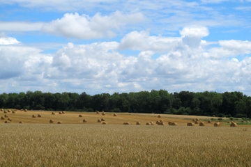 CREQUY - FRENIAUX ET TETARDS-pas-de-calais