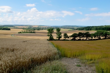 RUMINGHEM  - FORET ET VALLEES-pas-de-calais