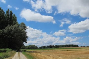 RUMINGHEM  - FORET ET VALLEES-pas-de-calais