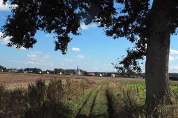 LE SENTIER DE LA DAME AUX LOUPS-pas-de-calais