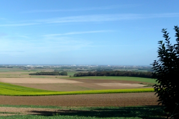 LE SENTIER DU TILLEUL-pas-de-calais