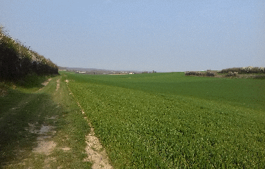 TOURNEHEM-SUR-LA-HEM (2)-pas-de-calais