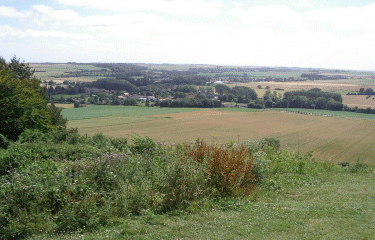 TABLE AUX FEES DE FRESNICOURT-pas-de-calais