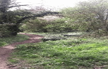 BURBURE - LA SCYRANDALE-pas-de-calais