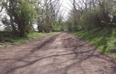 BURBURE - LA SCYRANDALE-pas-de-calais